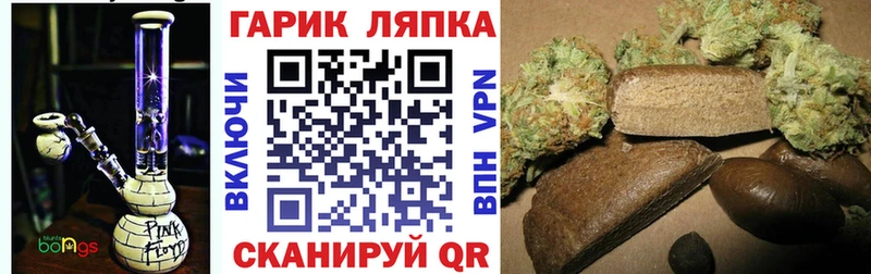 Гашиш индика сатива  Сусуман 