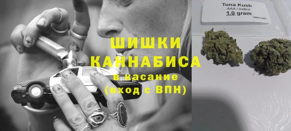 амф Покачи