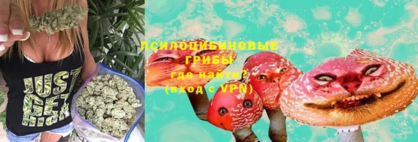 амф Покачи