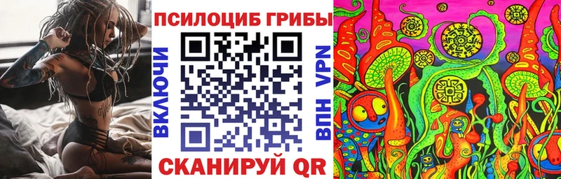 купить наркоту  Сусуман  МЕГА сайт  Псилоцибиновые грибы мицелий 